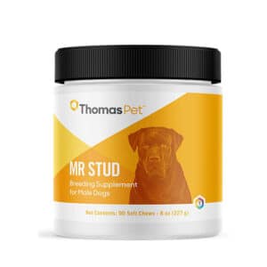 ThomasLabs Mr Stud