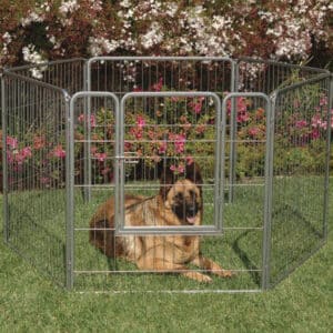 Precision Pet Courtyard Kennel Exercise Pen