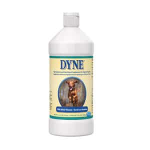 Dyne High Calorie Liquid Nutritional Supplement for Dogs & Puppies_16 Oz