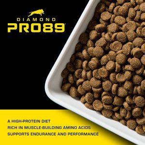 Diamond Pro89