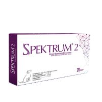 Spektrum 2