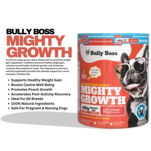 Bully Boss Mighty Growth (Steak Flavour)