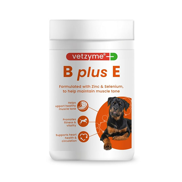 Vetzyme-B-Plus-E-(200-Tablets)_2